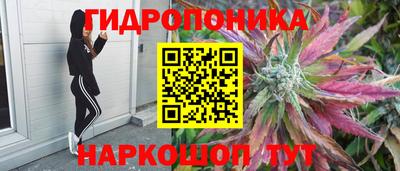 mdpv Пыть-Ях