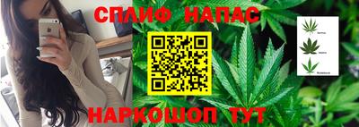 соль ск Пугачёв