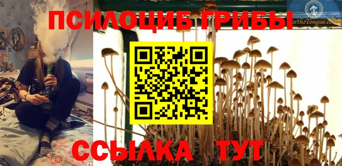 Петрозаводск  где купить наркоту  Вход с VPN  Псилоцибиновые грибы Psilocybe 
